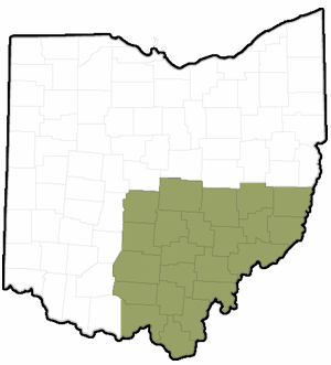 Southeast Southeast